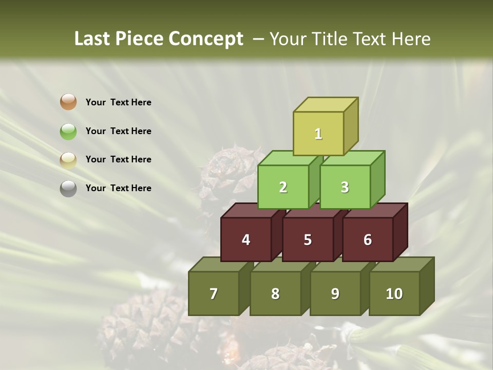 A Pine Tree With Cones And Cones On It PowerPoint Template
