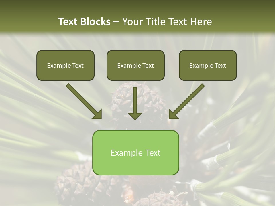 A Pine Tree With Cones And Cones On It PowerPoint Template