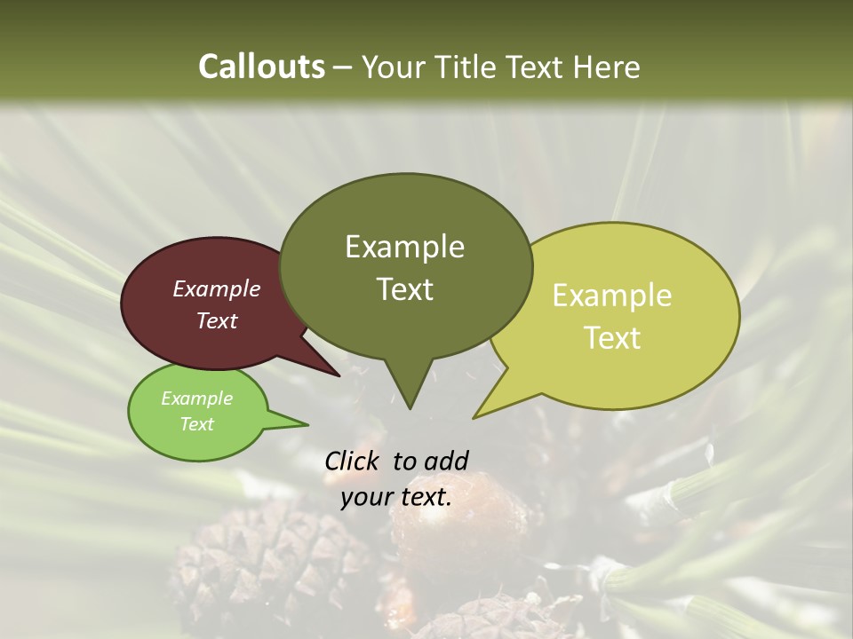 A Pine Tree With Cones And Cones On It PowerPoint Template