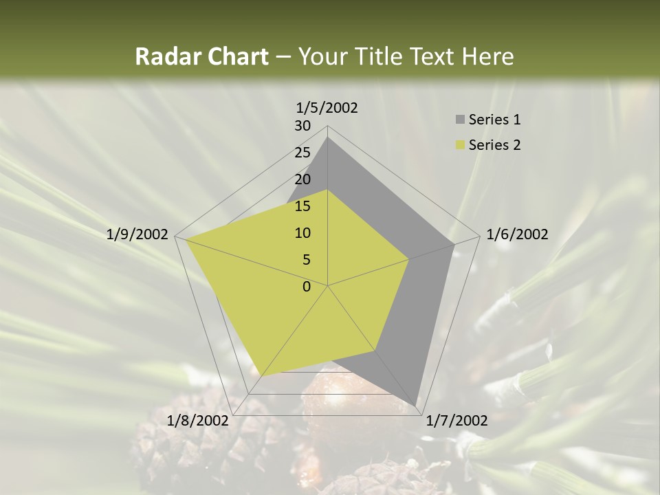 A Pine Tree With Cones And Cones On It PowerPoint Template