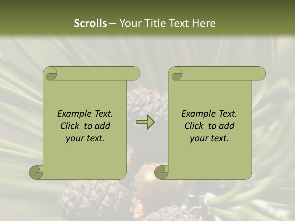 A Pine Tree With Cones And Cones On It PowerPoint Template