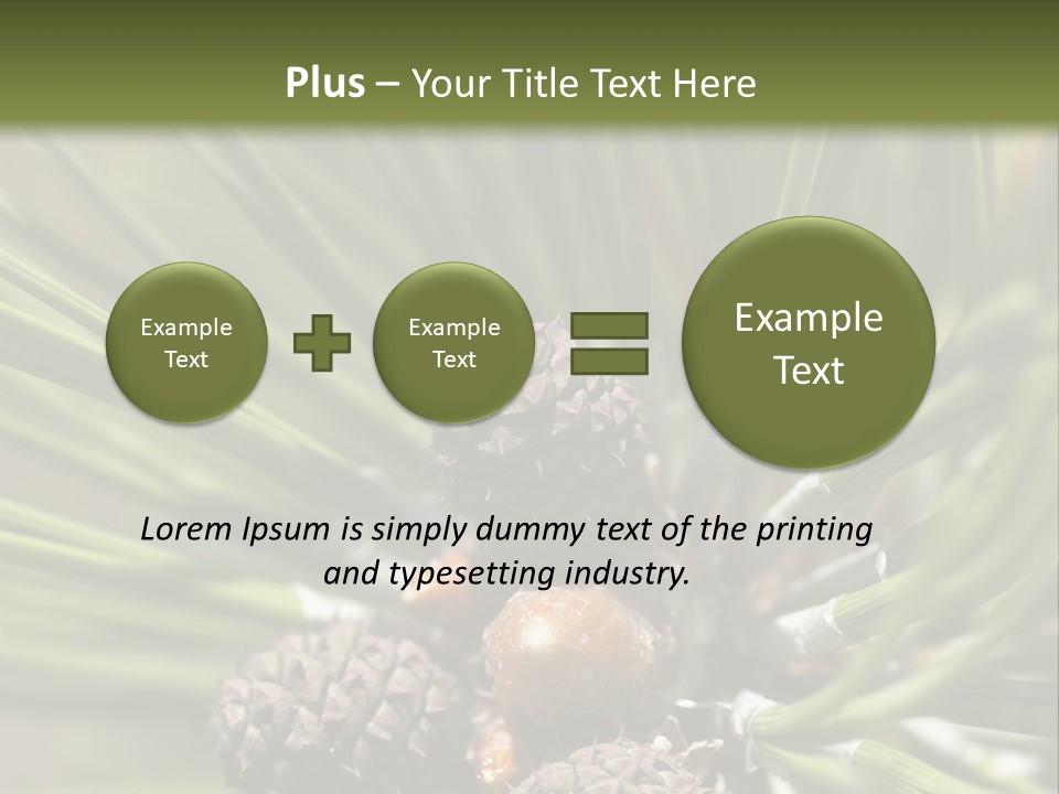 A Pine Tree With Cones And Cones On It PowerPoint Template