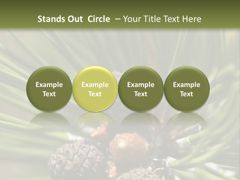 A Pine Tree With Cones And Cones On It PowerPoint Template