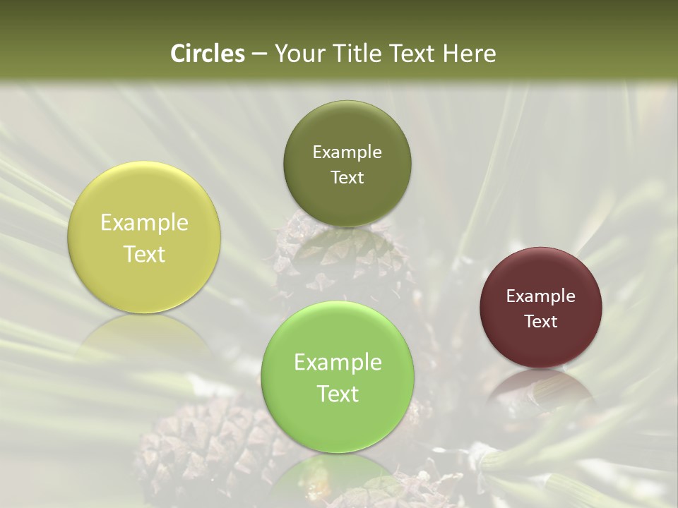 A Pine Tree With Cones And Cones On It PowerPoint Template