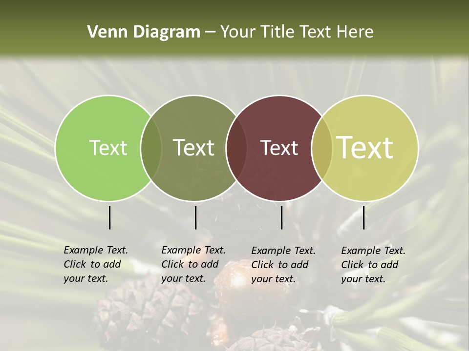 A Pine Tree With Cones And Cones On It PowerPoint Template