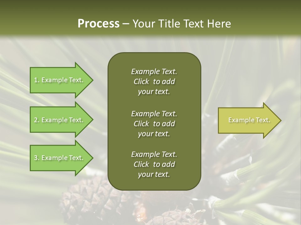 A Pine Tree With Cones And Cones On It PowerPoint Template