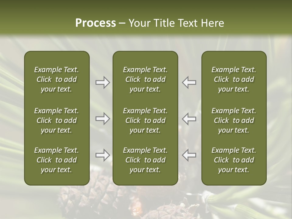 A Pine Tree With Cones And Cones On It PowerPoint Template