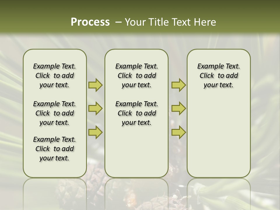 A Pine Tree With Cones And Cones On It PowerPoint Template