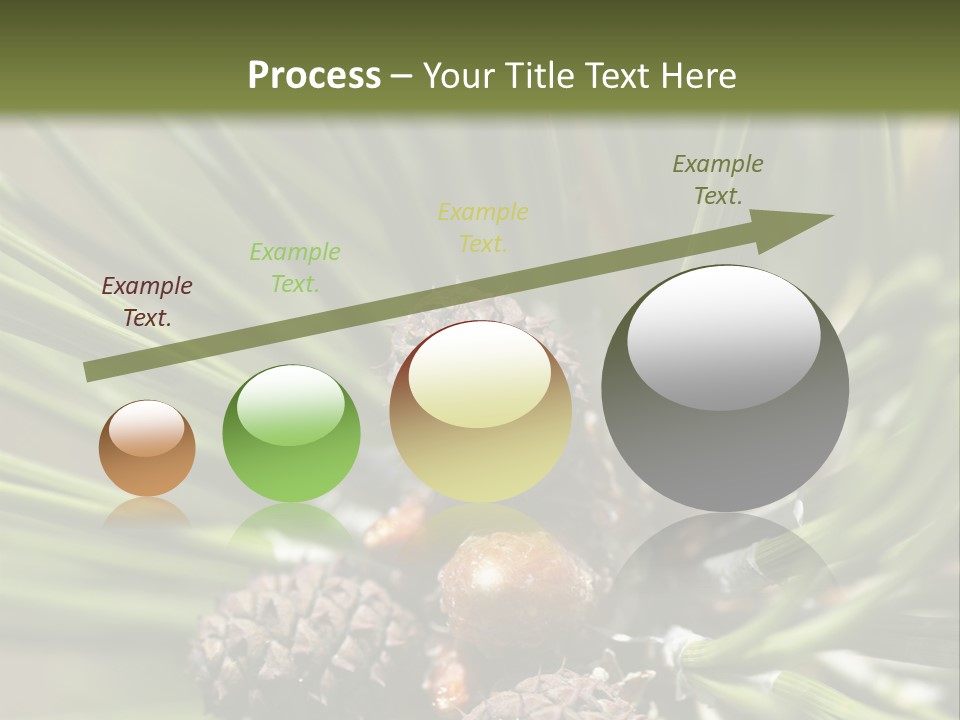 A Pine Tree With Cones And Cones On It PowerPoint Template