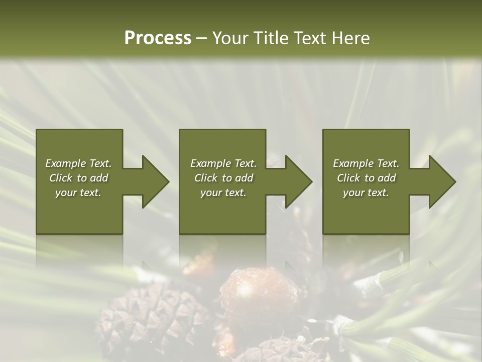 A Pine Tree With Cones And Cones On It PowerPoint Template
