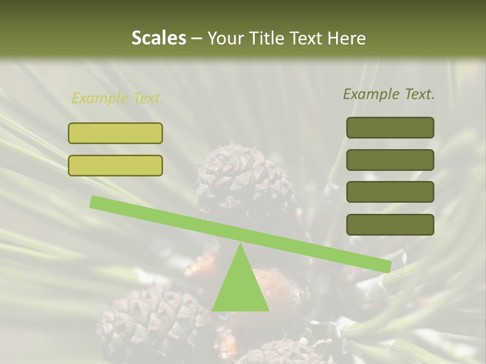 A Pine Tree With Cones And Cones On It PowerPoint Template