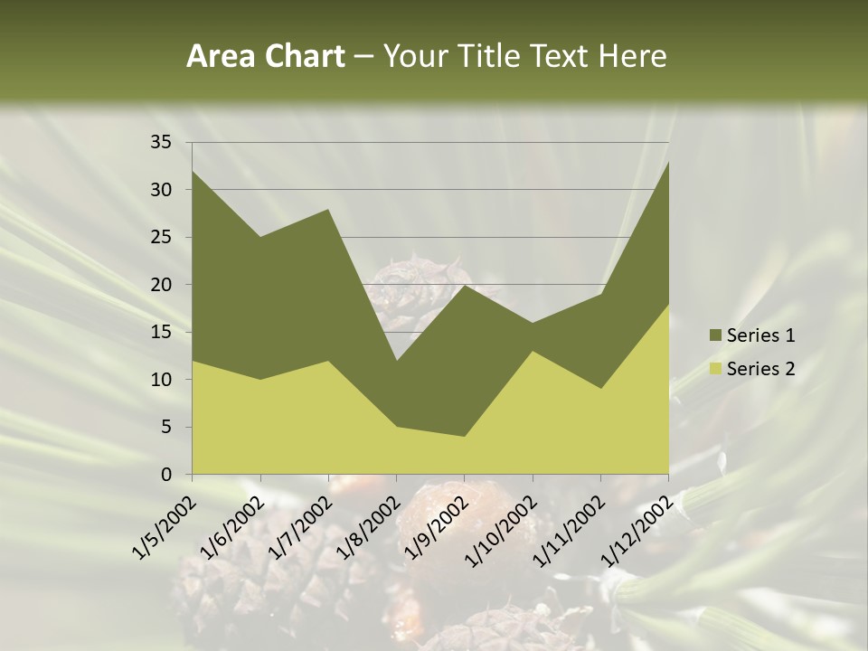 A Pine Tree With Cones And Cones On It PowerPoint Template