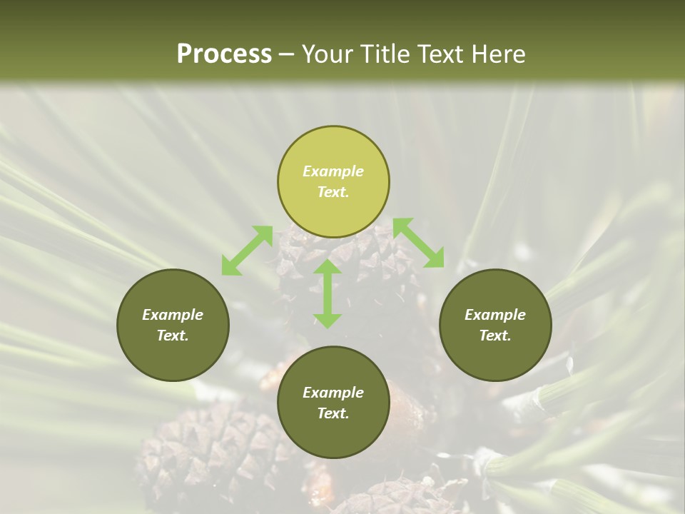 A Pine Tree With Cones And Cones On It PowerPoint Template