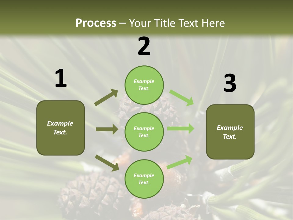 A Pine Tree With Cones And Cones On It PowerPoint Template