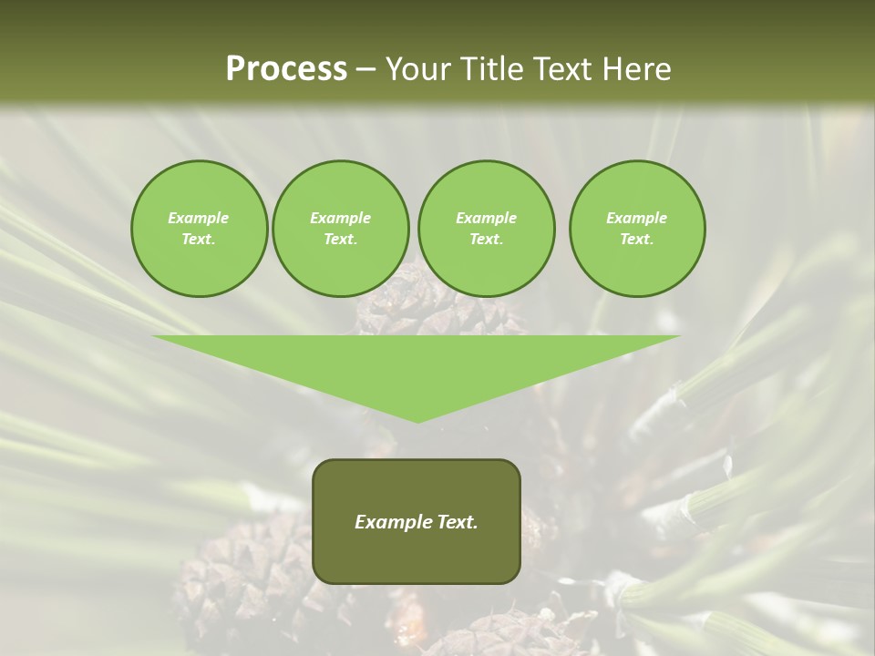 A Pine Tree With Cones And Cones On It PowerPoint Template