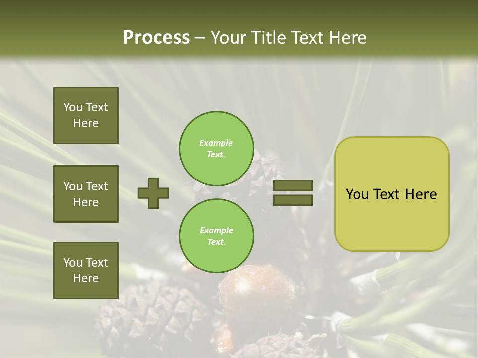 A Pine Tree With Cones And Cones On It PowerPoint Template