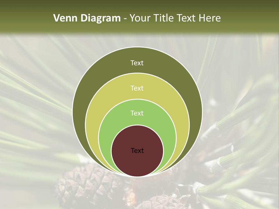A Pine Tree With Cones And Cones On It PowerPoint Template
