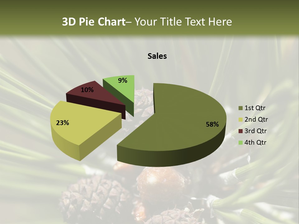 A Pine Tree With Cones And Cones On It PowerPoint Template