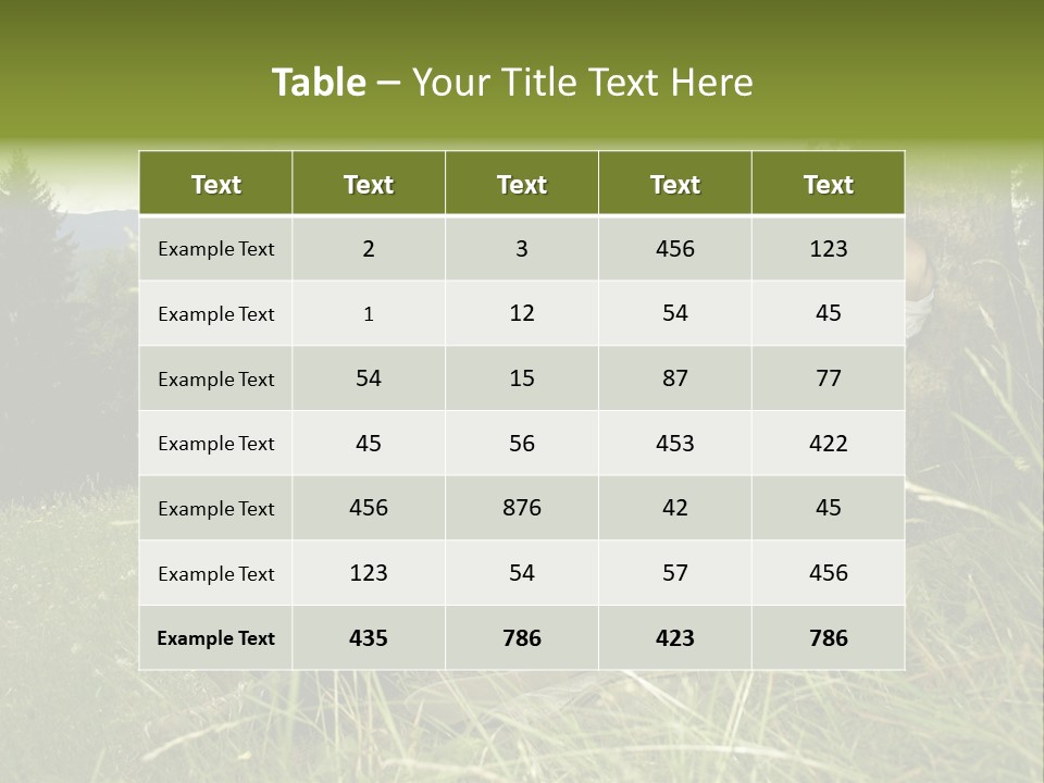 A Man Sitting In The Grass With A Laptop PowerPoint Template