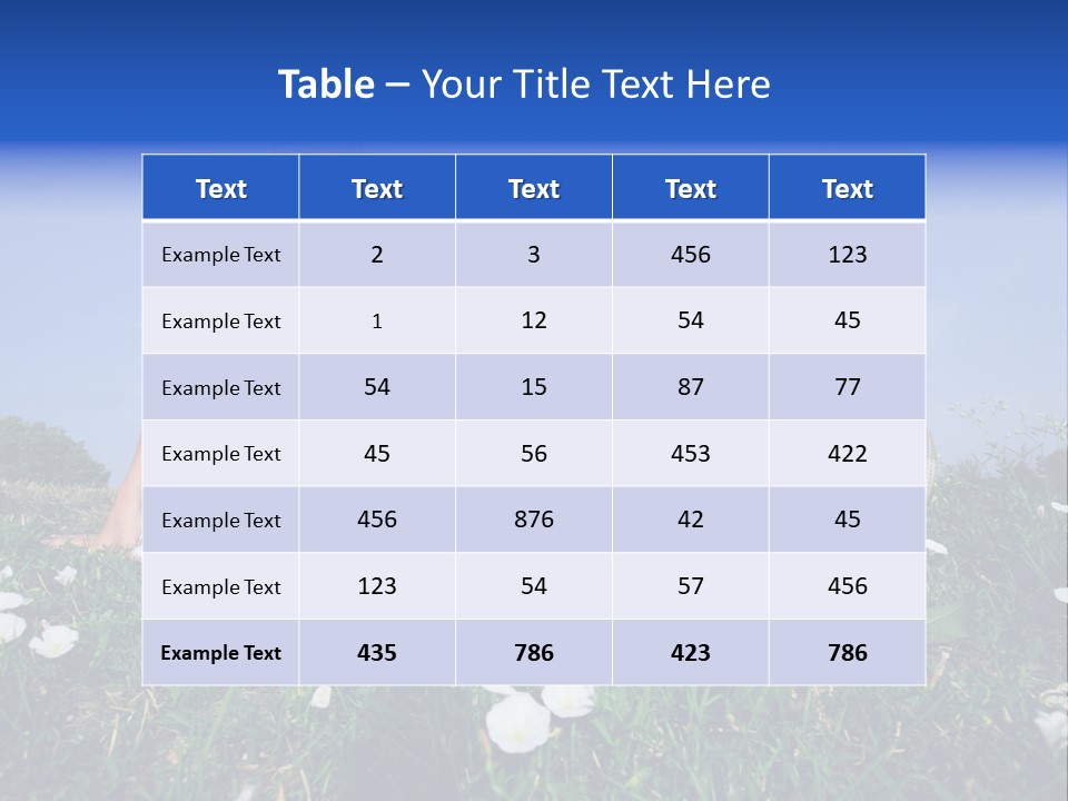 A Woman Laying On The Grass With A Laptop PowerPoint Template