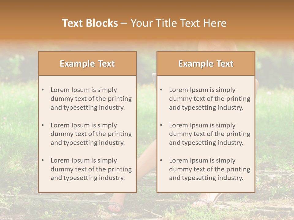 A Woman Sitting In The Grass Using A Laptop Computer PowerPoint Template