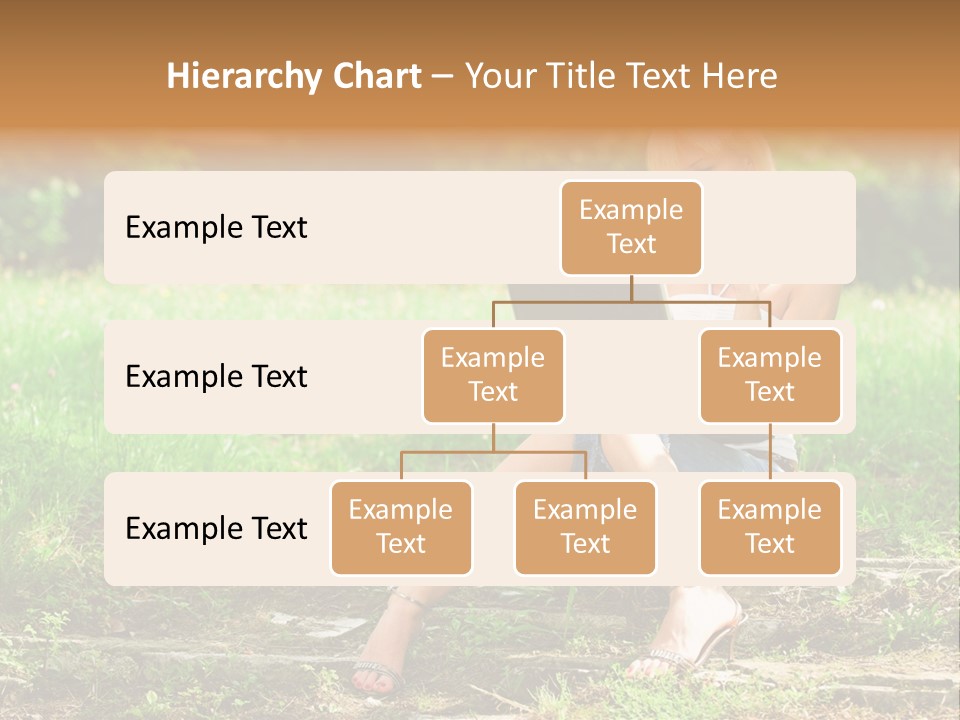 A Woman Sitting In The Grass Using A Laptop Computer PowerPoint Template