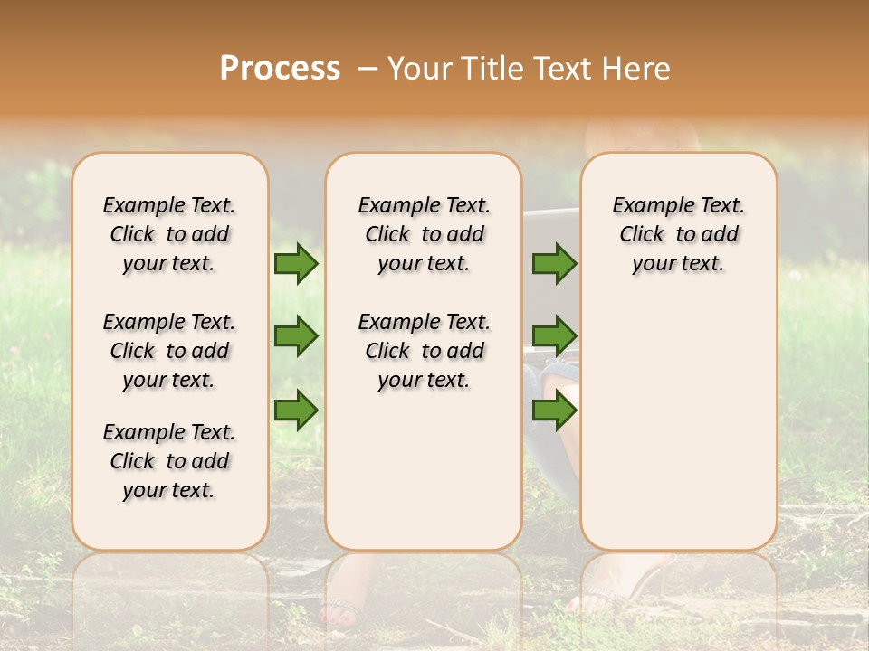 A Woman Sitting In The Grass Using A Laptop Computer PowerPoint Template