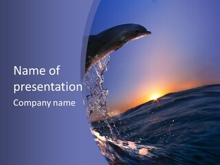 Ocean Hawaii Sea PowerPoint Template