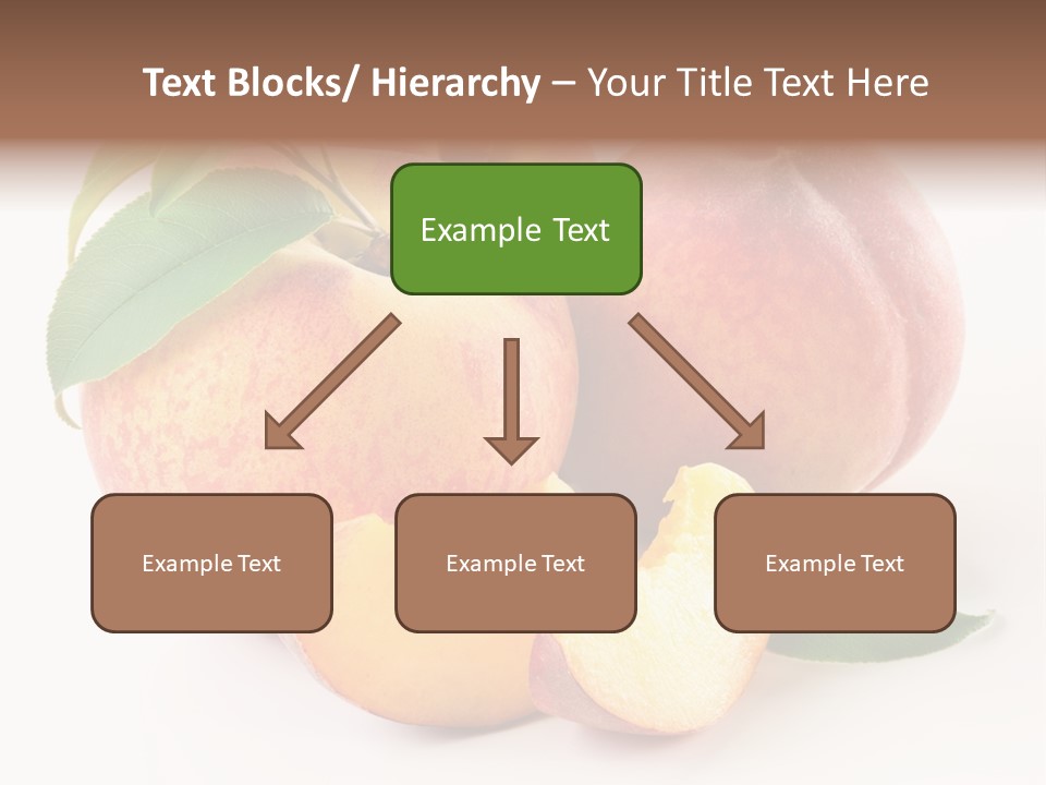 Nutrition Vegetarian Dessert PowerPoint Template