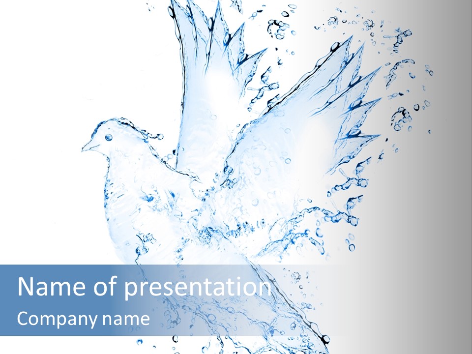 Fresh Dove Splash PowerPoint Template
