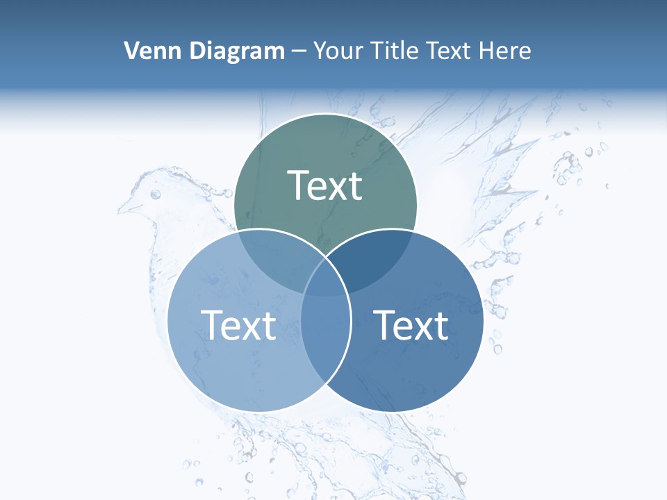 Fresh Dove Splash PowerPoint Template