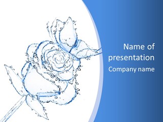 Rose Wash Macro PowerPoint Template