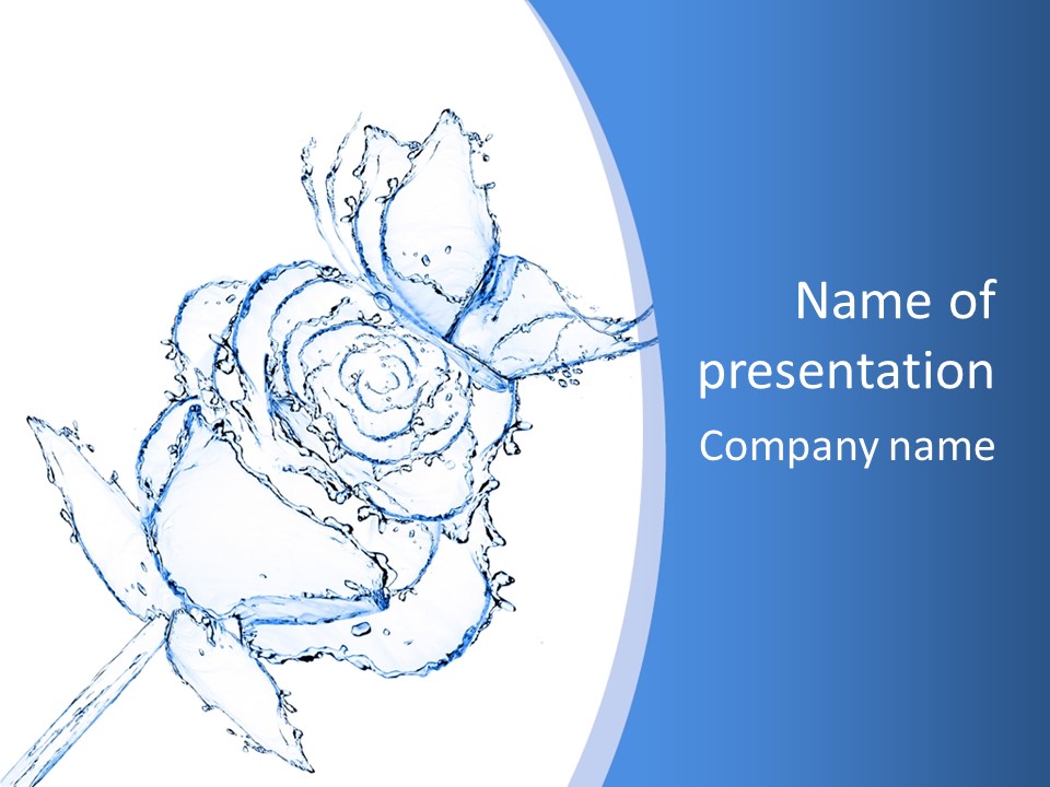 Rose Wash Macro PowerPoint Template