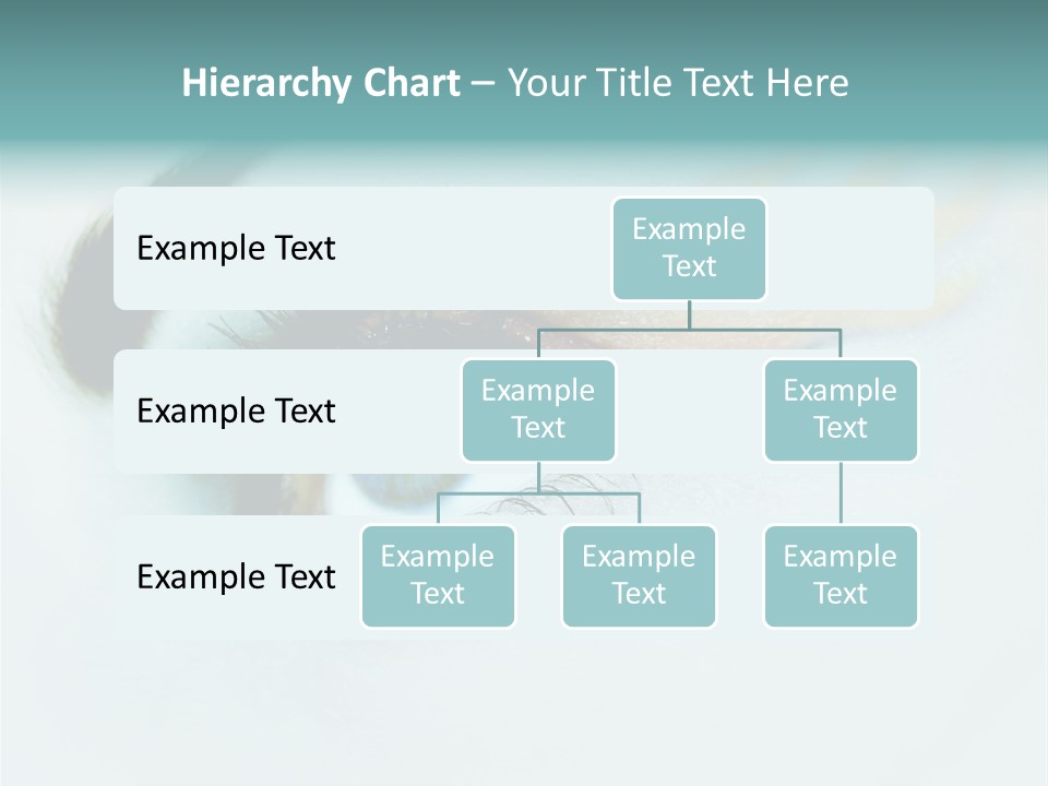 Caucasian Skin Bright PowerPoint Template