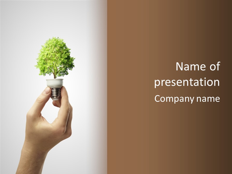 Li Ten Boardroom Company PowerPoint Template