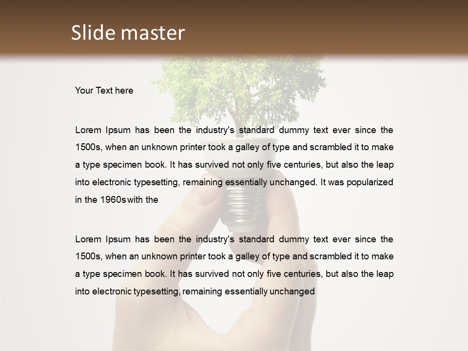 Li Ten Boardroom Company PowerPoint Template