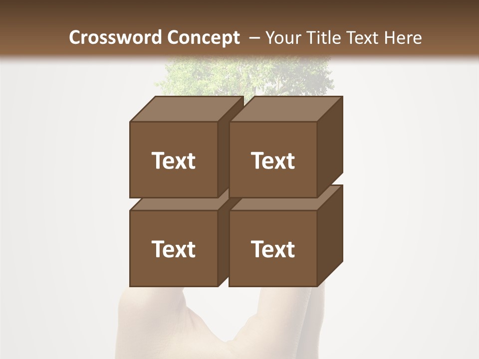 Li Ten Boardroom Company PowerPoint Template