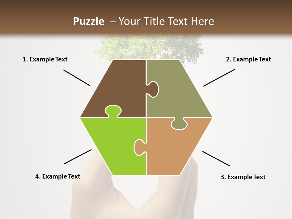 Li Ten Boardroom Company PowerPoint Template