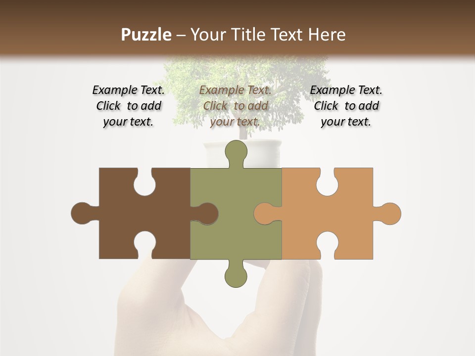 Li Ten Boardroom Company PowerPoint Template