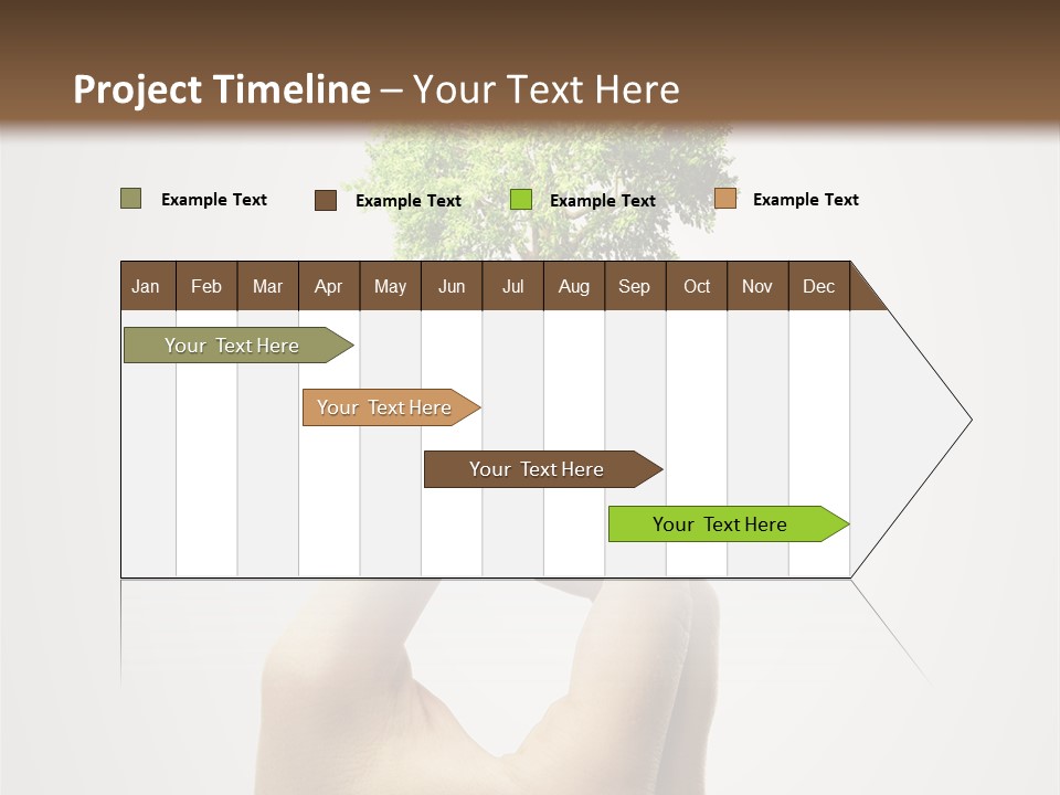 Li Ten Boardroom Company PowerPoint Template