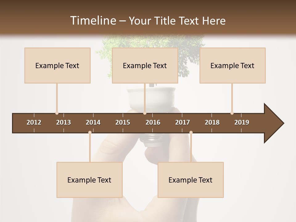 Li Ten Boardroom Company PowerPoint Template