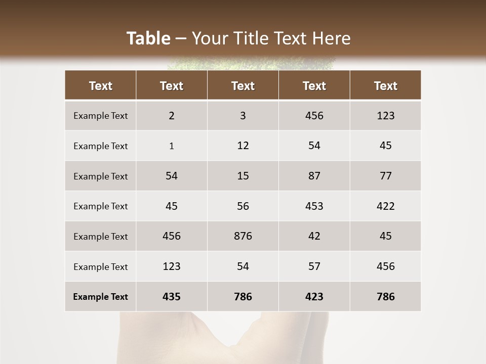 Li Ten Boardroom Company PowerPoint Template