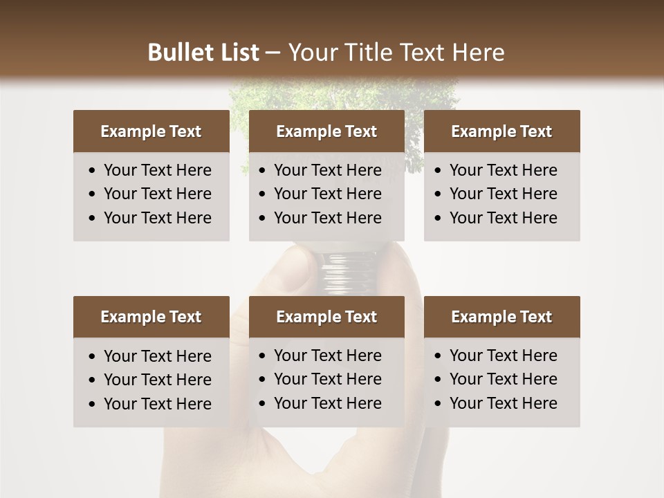Li Ten Boardroom Company PowerPoint Template