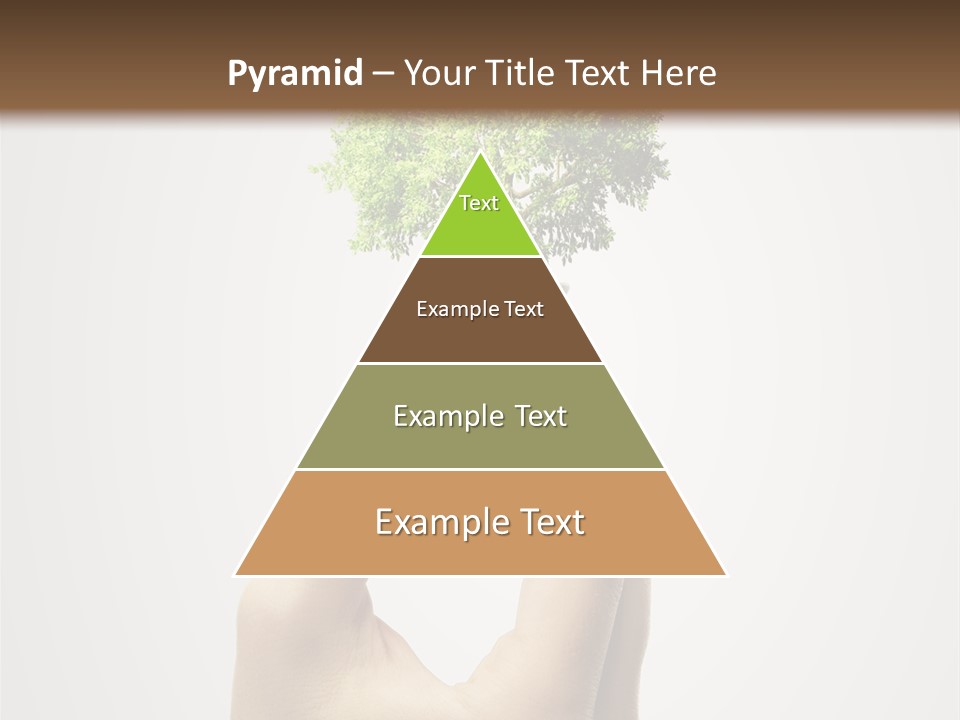 Li Ten Boardroom Company PowerPoint Template