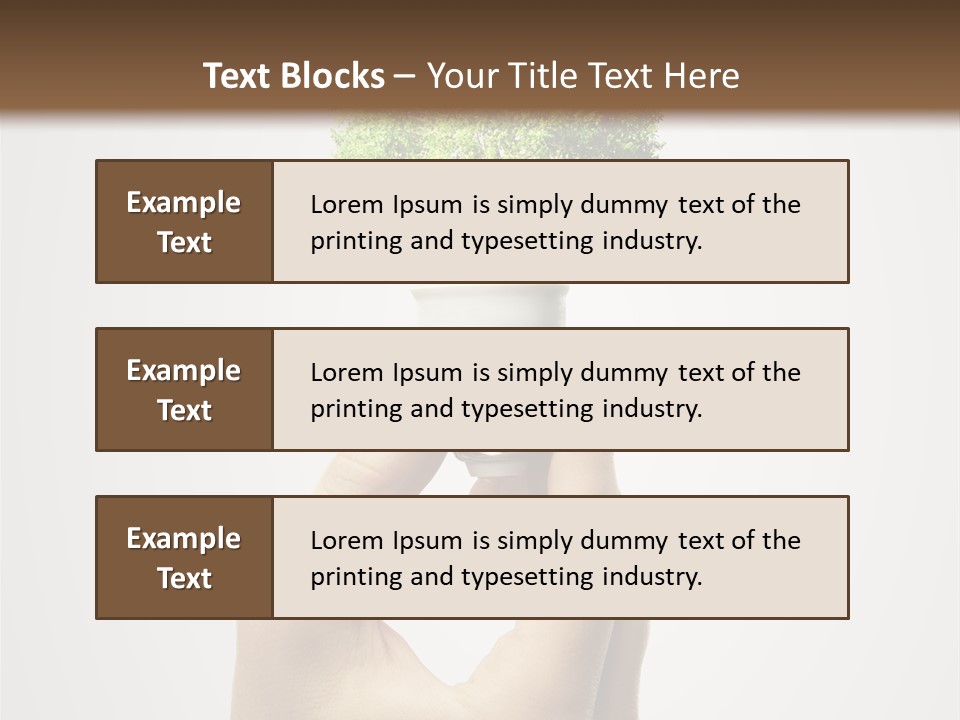 Li Ten Boardroom Company PowerPoint Template