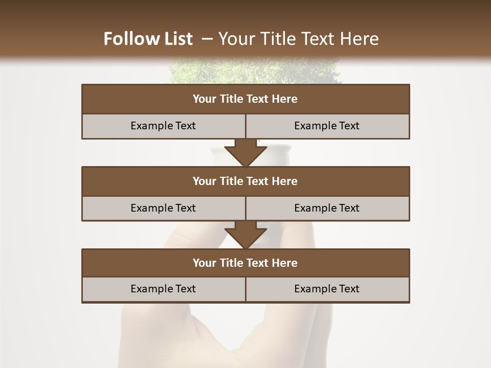 Li Ten Boardroom Company PowerPoint Template