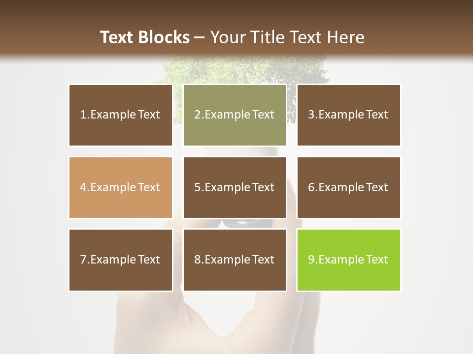 Li Ten Boardroom Company PowerPoint Template