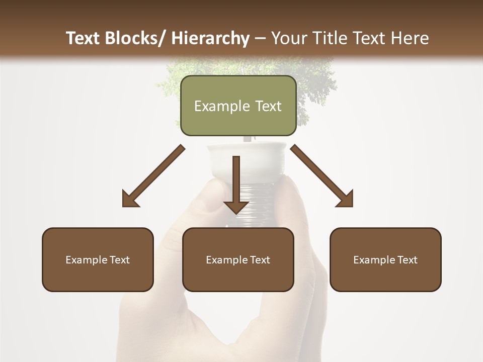 Li Ten Boardroom Company PowerPoint Template