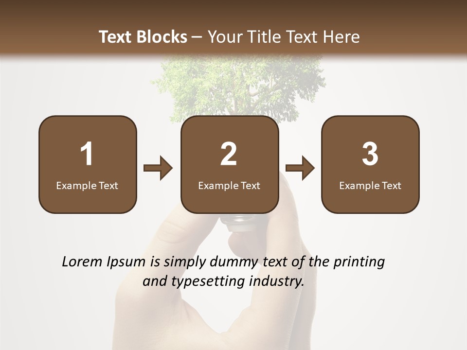 Li Ten Boardroom Company PowerPoint Template