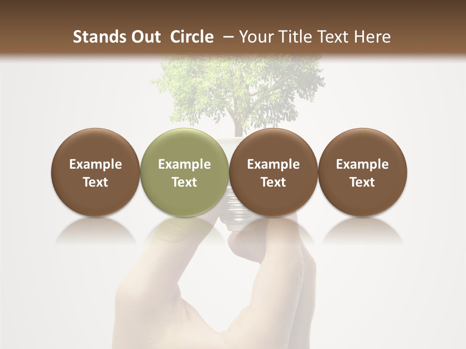 Li Ten Boardroom Company PowerPoint Template